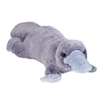 Soft Allie the 16 Inch Plush Platypus by Douglas