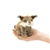 Bobcat Finger Puppet by Folkmanis Puppets