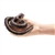 Snake Finger Puppet by Folkmanis Puppets