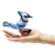 Blue Jay Finger Puppet by Folkmanis Puppets