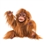 Full Body Baby Orangutan Puppet by Folkmanis Puppets