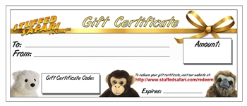 Gift Certificate