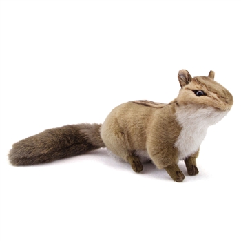 Handcrafted 8 Inch Lifelike Chipmunk Stuffed Animal by Hansa