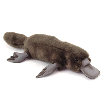 Handcrafted 16 Inch Lifelike Platypus Stuffed Animal by Hansa