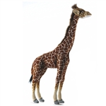 Handcrafted 34 Inch Lifelike Baby Giraffe Stuffed Animal by Hansa