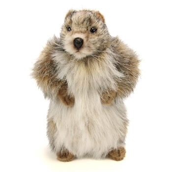 Handcrafted 9 Inch Lifelike Baby Groundhog Stuffed Animal by Hansa