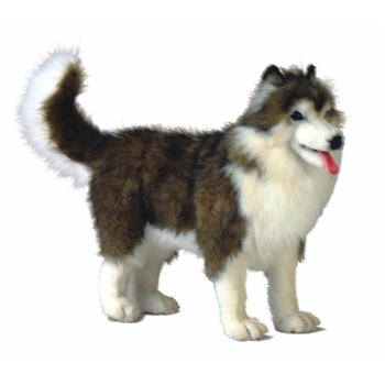 Handcrafted 16 Inch Lifelike Husky Stuffed Animal by Hansa