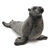 Lifelike Sea Lion Pup Stuffed Animal by Hansa