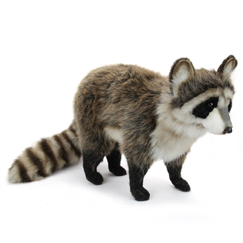 Handcrafted 18 Inch Lifelike Raccoon Stuffed Animal by Hansa