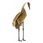 Handcrafted 29 Inch Life-size Sandhill Crane Stuffed Animal by Hansa