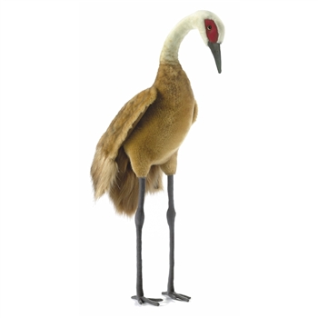 Handcrafted 29 Inch Life-size Sandhill Crane Stuffed Animal by Hansa