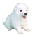 Lifelike Samoyed Puppy Stuffed Animal by Hansa