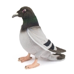 Handcrafted 11 Inch Lifelike Pigeon Stuffed Animal by Hansa