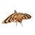 Lifelike Moth Stuffed Animal by Hansa