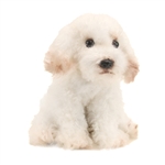 Small Sitting Stuffed Bichon Frise by Demdaco