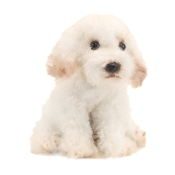 Small Sitting Stuffed Bichon Frise by Demdaco