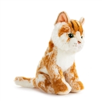 Animalcraft 9 Inch Stuffed Maine Coon Cat by Demdaco