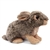 Cuddlekins Baby Bunny Stuffed Animal by Wild Republic