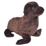 Cuddlekins Sea Lion Stuffed Animal by Wild Republic