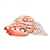 Wild Calls Stuffed Triton Conch Shell with Real Sound by Wild Republic