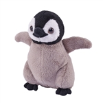 Pocketkins Eco-Friendly Small Plush Baby Penguin by Wild Republic