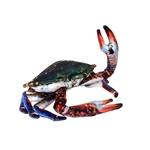 Living Earth Plush Crab by Wild Republic