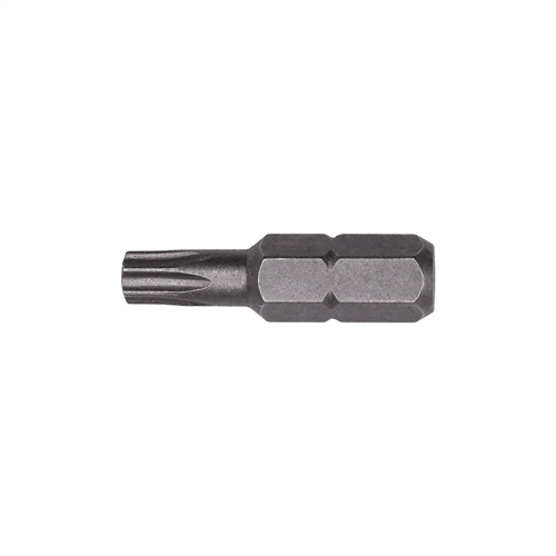 T-25 Torx Insert Bits