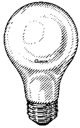 75 Watt Rough Service Light Bulb - 120 Bulbs