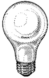 100 Watt Super Toughcoat Light Bulb - 6 Bulb