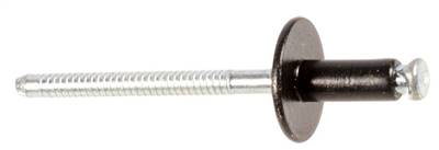 GM Heat Shield Rivets 3/16" Diameter