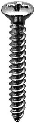 Phillips Oval Head Tap Screw #6 X 1 Chrome