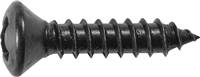 #6 x 5/8" Phillips Oval Head Tapping Screw - Black