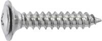 #10 X 1" Phillips Oval Head Sems Flush Washer Tapping Screw - Chrome