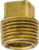 Brass Square Head Plug 1/2 Pipe Thread