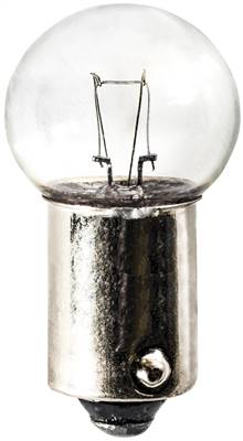 Bulb 1895