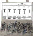 53 Pc. Stainless Steel Capped Bumper Bolt Assortment