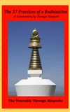 37 Practices of a Bodhisattva, Thrangu Rinpoche