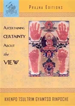 Ascertaining Certainty About the View