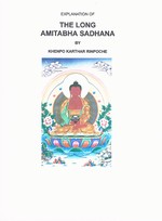 Amitabha Long, Khenpo Karthar Rinpoche