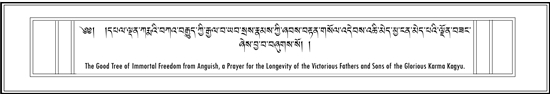 Long Life Prayers for Tai Situ, Gyaltsap, Jamgon Kongtrul Rinpoche and others.