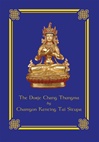 Dorje Chang Thungma, Tai Situpa Rinpoche