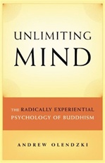 Unlimiting Mind: The Radically Experiential Psychology of Buddhism