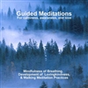 Guided Meditations: For calmness, awareness and love, CD <br> By: Bodhipaksa