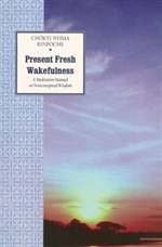 Present Fresh Wakefulness