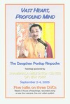 Vast Heart, Profound Mind, DVD <br>  By: Dzogchen Ponlop Rinpoche