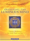 Awakening The Luminous Mind