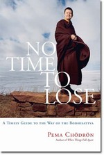 No Time to Lose, Pema Chodron