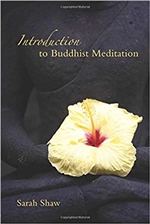 Introduction to Buddhist   Meditation, Sarah Shaw