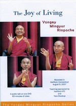 Joy of Living: A Public Talk DVD <br> By: Mingyur Rinpoche