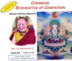 Chenrezig: Bodhisattva of Compassion, Audio CD <br>  By: Khenpo Karthar Rinpoche